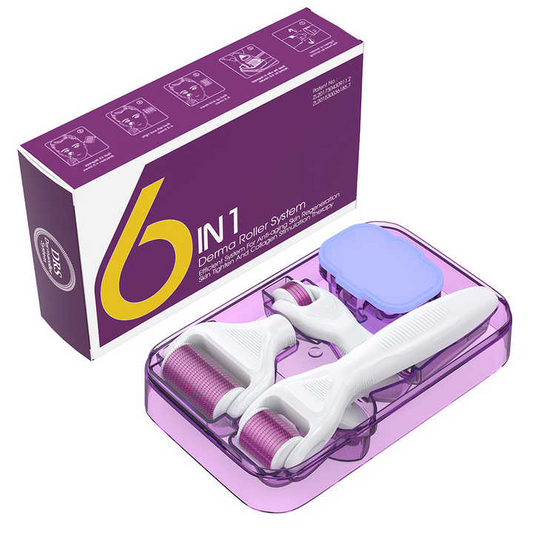6-in-1 Micro Needle Derma Roller Kit  1200 Microneedles | طقم ديرما رولر بميكرونيدل 6 في 1
